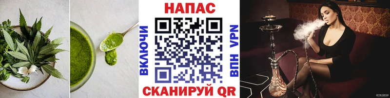 hydra вход  Южно-Сухокумск  Canna-Cookies конопля  как найти  