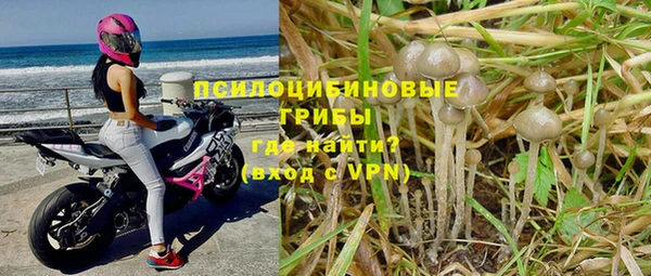 ALPHA-PVP Бугульма