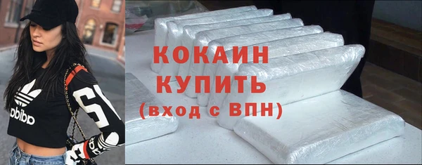 крисы Бронницы